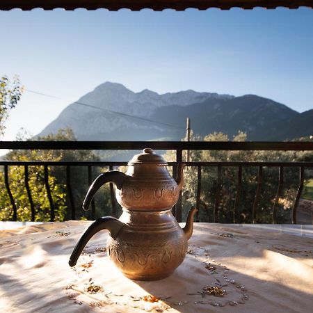 Vita Camping Otel Geyikbayiri Luaran gambar
